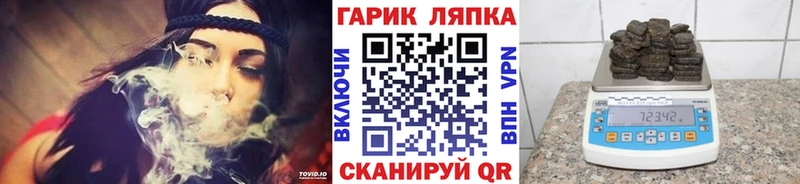 ГАШ Изолятор  Павловск 