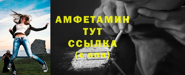 тгк Дмитриев