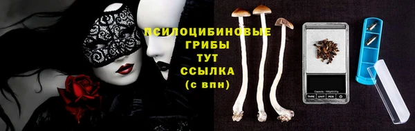МДПВ Беломорск
