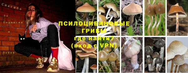 MDMA Белокуриха