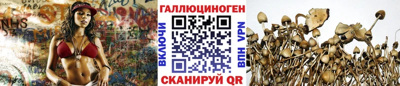 Галлюциногенные грибы GOLDEN TEACHER  купить наркоту  ссылка на мегу ТОР  Павловск 
