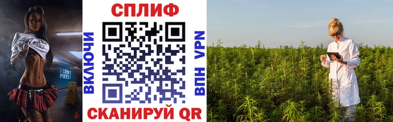 Шишки марихуана Ganja  где купить   мега как зайти  Павловск 